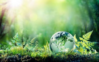 Débat sur l’eau et l’environnement