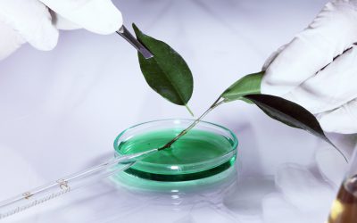 le 1er webinaire international en ligne sur l’ingénierie dans les sciences biologiques et chimiques