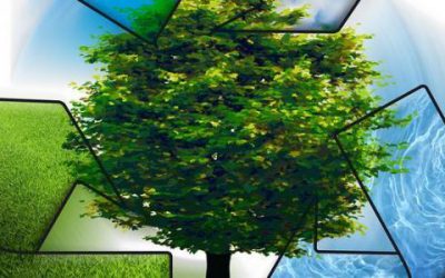 مديرية البيئة لولاية البليدة و المؤسسة العمومية الولائية لتسيير مراكز الردم التقني لولاية البليدة