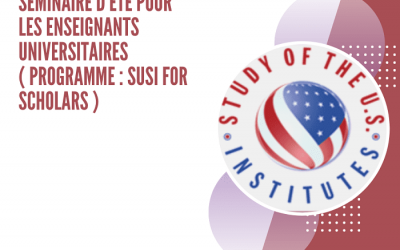 Séminaire d’été pour enseignants universitaires (programme SUSI for Scholars)