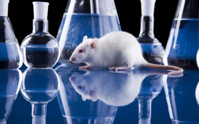 Formation sur L’Ethique et les Bonnes Pratiques en Expérimentation Animale