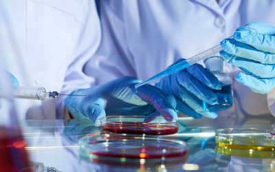 Laboratoire de Physique Fondamentale et Appliquée (FUNDAPL) Université Saad Dahlab Blida1et Laboratoire de Géomatériaux et Génie Civil(LGMGC), Université Saad Dahlab Blida1