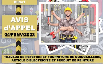 Appel d’offre 04/FSNV/2023