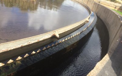 sortie pédagogique des L3 BEMA