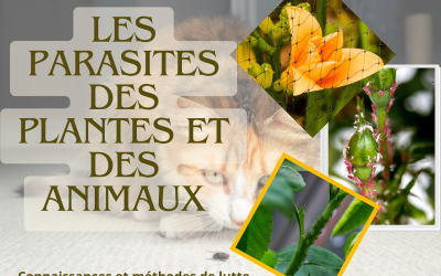 2ème appel à communication 2SNPPA2024