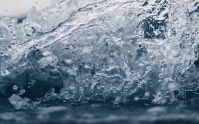 Journée d’étude sur la gestion intégrée des ressources en eau