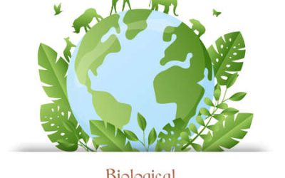 Célébration de la Journée Internationale de la Biodiversité