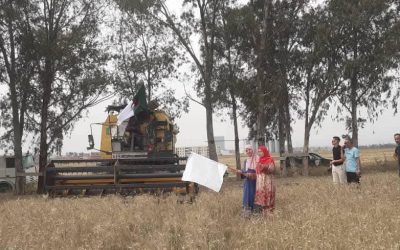 Ouverture de la saison des moissons et du battage