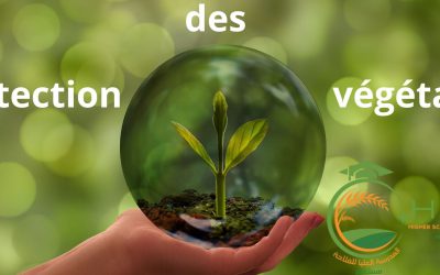 Appel à candidatures de la FAO/Production et protection durable des végétaux