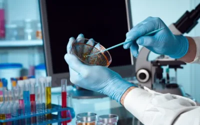 Le 2ème symposium national de biologie, pharmacotoxicologie et bioproduits des plantes aromatiques et médicinales